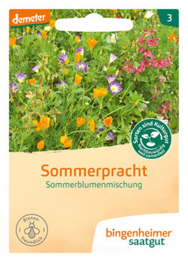 Produktfoto zu Sommerpracht Sommerblumenmischung