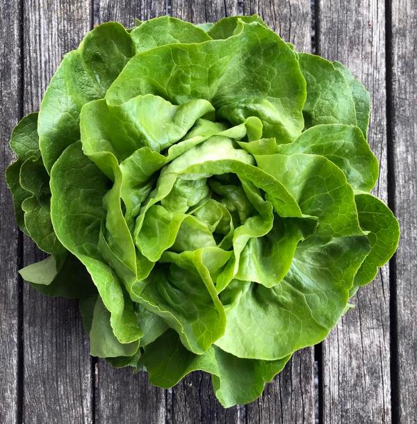 Produktfoto zu Salat