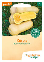 Butternut Waltham - Kürbis (Saatgut)