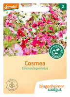 Cosmea - Blumen (Saatgut)