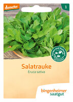 Salatrauke - Ruca (Saatgut)