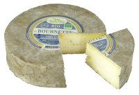 Bournette