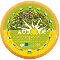Aurora Gold Maigouda