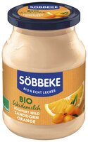 Bio Weidemilch Joghurt mild Sanddorn-Orange