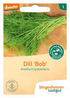 Dill - Kräuter (Saatgut)