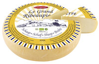 Bastiaansen Schaf-Ribeaupierre