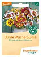 Bunte Wucherblume - Blumen (Saatgut)