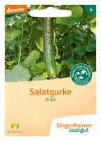 Arola - Salatgurke (Saatgut)