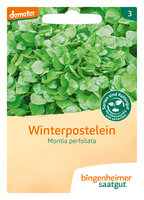 Winterpostelein - Winterpostelein (Saatgut)