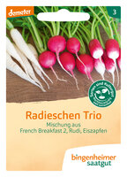 Radieschen Trio - Radies Mischung aus Rudi, Eiszapfen und French Breakfarst