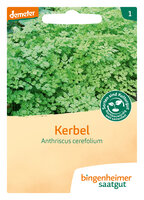 Kerbel - Kräuter (Saatgut)