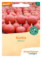 Red Kuri - Hokkaido-Kürbis (Saatgut)