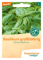 Basilikum großblättrig - Kräuter (Saatgut)