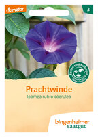 Prachtwinde - Blumen (Saatgut)