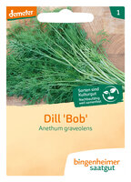 Dill - Kräuter (Saatgut)