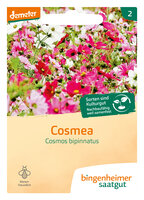 Cosmea - Blumen (Saatgut)