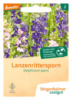 Lanzenrittersporn - Blumen (Saatgut)
