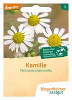 Kamille - Blumen (Saatgut)