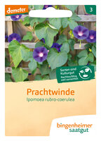 Prachtwinde - Blumen (Saatgut)
