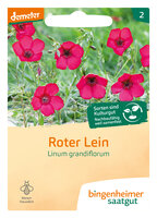 Roter Lein - Blumen (Saatgut)