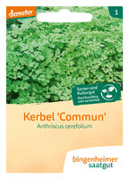 Kerbel - Kräuter (Saatgut)
