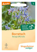 Borretsch - Kräuter (Saatgut)