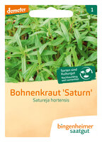 Bohnenkraut einjährig - Kräuter (Saatgut)