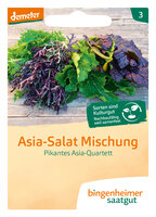 Pikantes Asia-Quartett - Asia Salat Mischung (Saatgut)