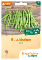 Saxa - Buschbohne (Saatgut)