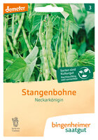 Neckarkönigin - Stangenbohne (Saatgut)