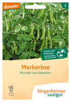 Wunder von Kelvedon - Markerbse (Saatgut)