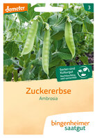 Ambrosia - Zuckererbse (Saatgut)