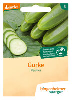 Persika - Freilandgurke (Saatgut)