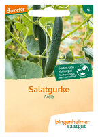Arola - Salatgurke (Saatgut)