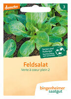 Verte à coeur plein - Feldsalat (Saatgut)