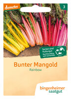 Rainbow - Mangold (Saatgut)