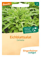 Cerbiatta - Pflücksalat (Saatgut)
