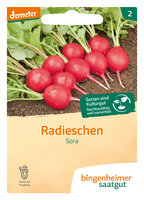 Sora - Radies (Saatgut)