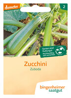 Zuboda - Zucchini (Saatgut)