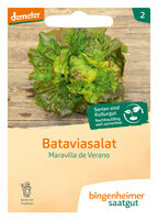 Maravilla de Verano - Bataviasalat (Saatgut)