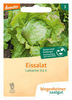 Laibacher Eis - Eissalat (Saatgut)