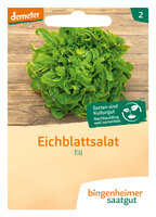 Till - Pflücksalat (Saatgut)