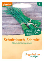 Schmitt Schnittlauch mittelgrobröhrig - Kräuter (Saatgut)