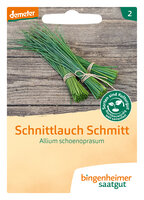 Schmitt Schnittlauch mittelgrobröhrig - Kräuter (Saatgut)