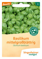 Basilikum mittelgroßblättrig - Kräuter (Saatgut)