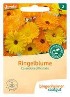 Calendula - Blumen (Saatgut)