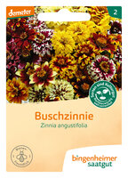 Buschzinnie - Blumen (Saatgut)