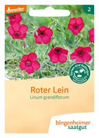 Roter Lein - Blumen (Saatgut)