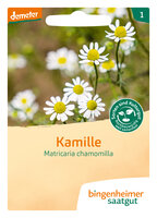 Kamille - Blumen (Saatgut)