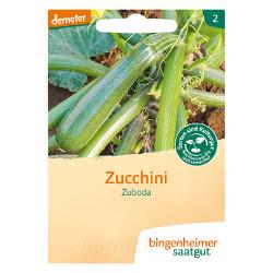 Zucchini grün  Zuboda